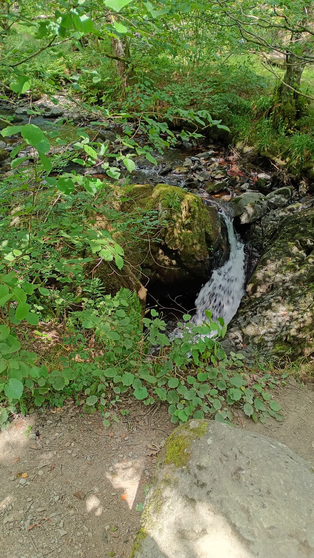 A small waterfall dropping between rocks in the woods at Aira Force
