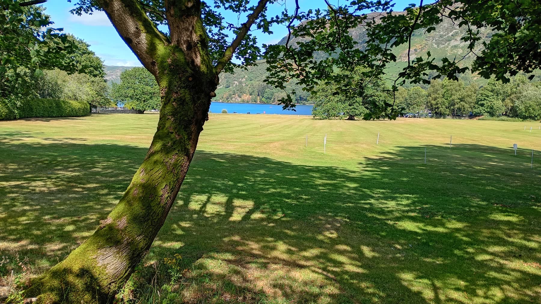 Ullswater seen through a mossy tree across a sunlit green field